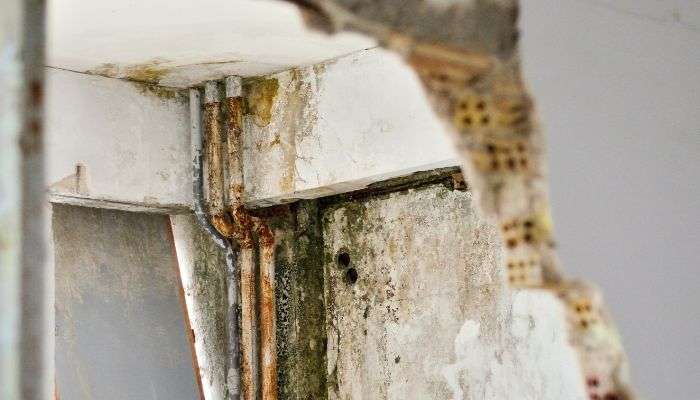 walls and pipes mold - nicholasville mold removal